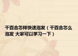 干百合怎樣快速泡發(fā)（干百合怎么泡發(fā) 大家可以學習一下）
