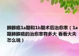 肺腺癌1a期和1b期術(shù)后治愈率（1a期肺腺癌的治愈率有多大 看看大夫怎么說）
