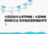 大蒜適合什么季節(jié)種植（大蒜種植時間和方法 農(nóng)作物適宜種植的季節(jié)）