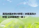 清洗冰箱冰塊小妙招（冰箱清洗小妙招 讓冰箱煥然一新）