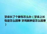 牙床長了個膿包怎么辦（牙床上長包是怎么回事 牙周膿腫是怎么回事）