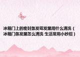 冰箱門(mén)上的密封條發(fā)霉發(fā)黑用什么清洗（冰箱門(mén)條發(fā)黑怎么清洗 生活常用小妙招）