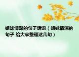 姐妹情深的句子話語（姐妹情深的句子 給大家整理這幾句）