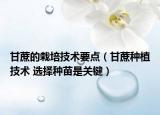 甘蔗的栽培技術(shù)要點(diǎn)（甘蔗種植技術(shù) 選擇種苗是關(guān)鍵）