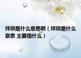坪壩是什么意思?。ㄆ簤问鞘裁匆馑?主要指什么）