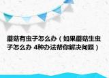 蘑菇有蟲子怎么辦（如果蘑菇生蟲子怎么辦 4種辦法幫你解決問題）