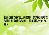 石膏粉在農(nóng)作物上的應(yīng)用（究竟石膏對(duì)農(nóng)作物生長(zhǎng)有什么作用 一種不能缺少的寶物）