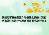 我的老家就住在這個(gè)屯是什么歌曲（我的老家就住在這個(gè)屯原唱是誰 歌名叫什么）