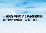 一生只為你的句子（致余生的唯美句子欣賞 愿你得一人擁一城）
