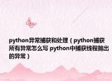 python異常捕獲和處理（python捕獲所有異常怎么寫 python中捕獲線程拋出的異常）