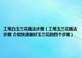 工筆白玉蘭花畫法步驟（工筆玉蘭花畫法步驟 介紹快速畫好玉蘭花的四個步驟）