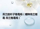 吊蘭的葉子有毒嗎（哪種吊蘭有毒 吊蘭有毒嗎）