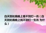 白天到處跑晚上看不到打一肖（白天到處跑晚上找不到打一生肖 為什么）
