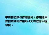 甲珠的功效與作用圖片（你知道甲珠的功效與作用嗎 4大功效你不容忽視）