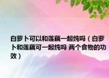 白蘿卜可以和蓮藕一起燉嗎（白蘿卜和蓮藕可一起燉嗎 兩個(gè)食物的功效）