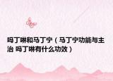 嗎丁啉和馬丁寧（馬丁寧功能與主治 嗎丁啉有什么功效）