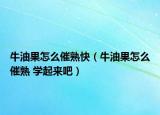 牛油果怎么催熟快（牛油果怎么催熟 學(xué)起來(lái)吧）
