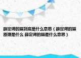 薛定諤的貓到底是什么意思（薛定諤的貓原理是什么 薛定諤的貓是什么意思）