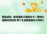 番茄成熟一般需要的天數(shù)是多少（番茄生育期對應(yīng)時間 整個生育期需要多少時間）