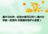 桑葉與杜仲一起泡水喝可以嗎?（桑葉杜仲能一起用嗎 改善循環(huán)保護(hù)心血管）