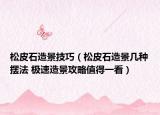松皮石造景技巧（松皮石造景幾種擺法 極速造景攻略值得一看）