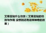 艾草足貼什么功效（艾草足貼的功效與作用 沒想到還有這樣神奇的效果）