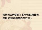 松針可以種花嗎（松針可以直接養(yǎng)花嗎 教你正確的養(yǎng)花方法）