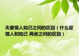 夫妻情人知己之間的區(qū)別（什么是情人和知己 兩者之間的區(qū)別）