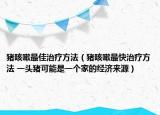 豬咳嗽最佳治療方法（豬咳嗽最快治療方法 一頭豬可能是一個(gè)家的經(jīng)濟(jì)來(lái)源）