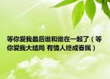 等你愛我最后誰和誰在一起了（等你愛我大結(jié)局 有情人終成眷屬）