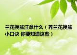 蘭花換盆注意什么（養(yǎng)蘭花換盆小口訣 你要知道這些）