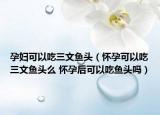 孕婦可以吃三文魚頭（懷孕可以吃三文魚頭么 懷孕后可以吃魚頭嗎）