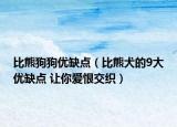 比熊狗狗優(yōu)缺點(diǎn)（比熊犬的9大優(yōu)缺點(diǎn) 讓你愛恨交織）