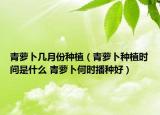 青蘿卜幾月份種植（青蘿卜種植時間是什么 青蘿卜何時播種好）