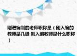 剛進(jìn)編制的老師職稱是（剛?cè)刖幍慕處熓菐准?jí) 剛?cè)刖幗處熓鞘裁绰毞Q）