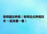 意蜂固定養(yǎng)殖（意蜂定點養(yǎng)殖技術 一起來看一看）