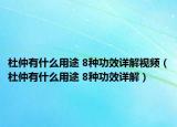 杜仲有什么用途 8種功效詳解視頻（杜仲有什么用途 8種功效詳解）