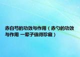 赤白芍的功效與作用（赤勺的功效與作用 一輩子值得珍藏）
