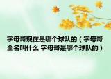 字母哥現(xiàn)在是哪個(gè)球隊(duì)的（字母哥全名叫什么 字母哥是哪個(gè)球隊(duì)的）