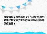 被蜜蜂蟄了怎么消腫 6個(gè)方法快速消腫（被蜂子蟄了腫了怎么消腫 這些小妙招幫助你消腫）