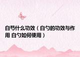 白芍什么功效（白勺的功效與作用 白勺如何使用）