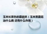 玉米長黑色的菌能吃（玉米黑菌菇治什么病 還有什么作用）