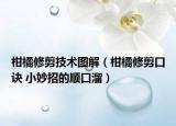 柑橘修剪技術(shù)圖解（柑橘修剪口訣 小妙招的順口溜）