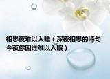相思夜難以入睡（深夜相思的詩句 今夜你因誰難以入眠）