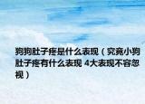 狗狗肚子疼是什么表現(xiàn)（究竟小狗肚子疼有什么表現(xiàn) 4大表現(xiàn)不容忽視）