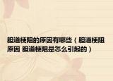 膽道梗阻的原因有哪些（膽道梗阻原因 膽道梗阻是怎么引起的）