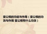 雷公根的功能與作用（雷公根的功效與作用 雷公根有什么功效）