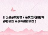 什么是親屬稱謂（親屬之間的稱呼都有哪些 親屬稱謂有哪些）