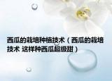 西瓜的栽培種植技術(shù)（西瓜的栽培技術(shù) 這樣種西瓜超級(jí)甜）