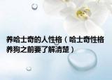 養(yǎng)哈士奇的人性格（哈士奇性格 養(yǎng)狗之前要了解清楚）